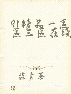 91精品一区二区三区在线观看封面