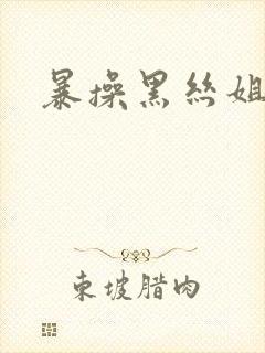 暴操黑丝姐姐封面