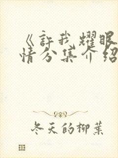 《许我耀眼》剧情分集介绍