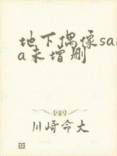 地下偶像sana未增删