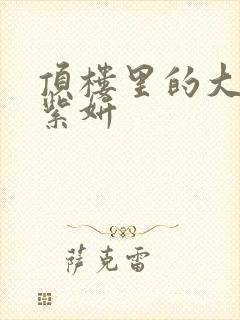 顶楼里的大象张紫妍封面