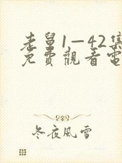 老舅1—42集免费观看电视剧封面