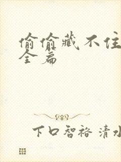 偷偷藏不住番外全篇