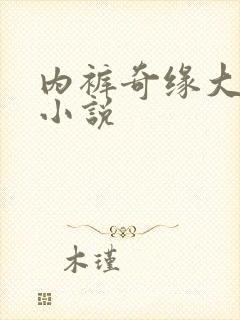 内裤奇缘大团结小说