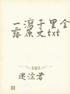 一泻千里金银花露原文txt封面