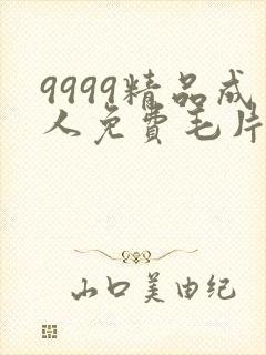 9999精品成人免费毛片在线看