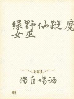 绿野仙踪魔法坏女巫封面