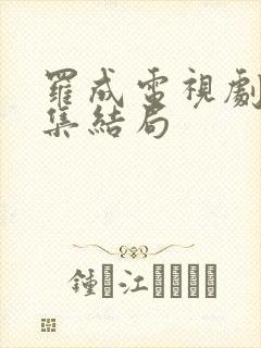 罗成电视剧40集结局封面