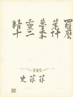 精灵梦叶罗丽第十二季什么时候播出