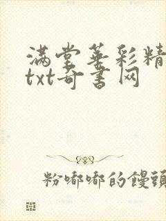 满堂华彩精校版txt奇书网