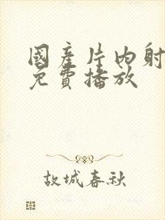 国产片内射视频免费播放