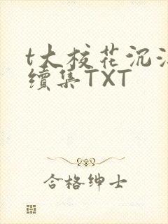 t大校花沉浮录续集TXT