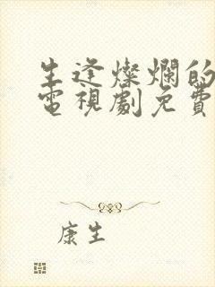 生逢灿烂的日子电视剧免费看