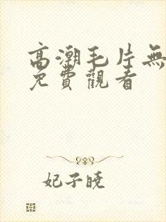 高潮毛片无遮挡免费观看