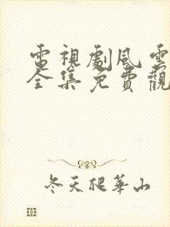 电视剧风云天地全集免费观看