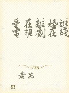 爱在离婚进行时电视剧在线观看