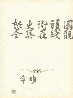 怒火街头国语版全集在线观看