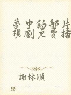 梦中的那片海电视剧免费播放