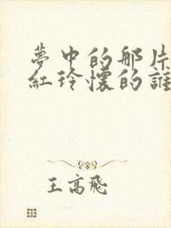 梦中的那片海贺红玲怀的谁的孩子