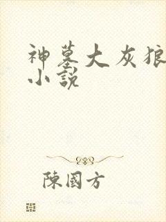 神墓大灰狼有声小说