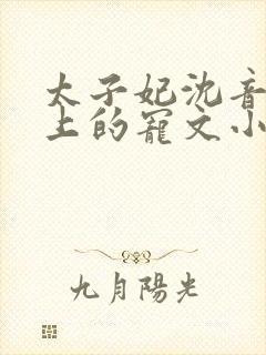 太子妃沈音和皇上的宠文小说封面