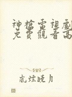 神枪电视剧全集免费观看高清封面