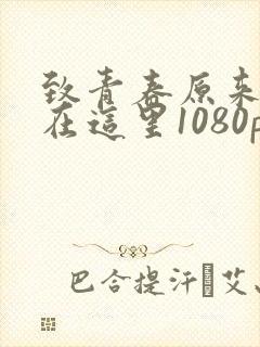 致青春原来你还在这里1080p