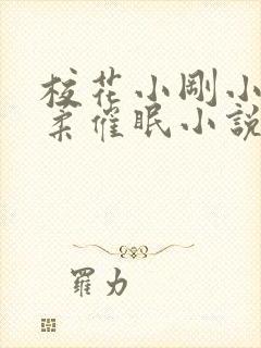 校花小刚小正小柔催眠小说