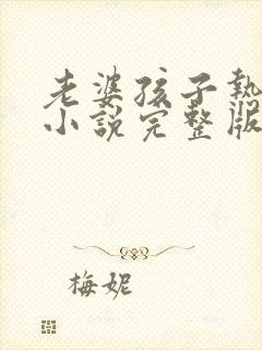 老婆孩子热炕头小说完整版