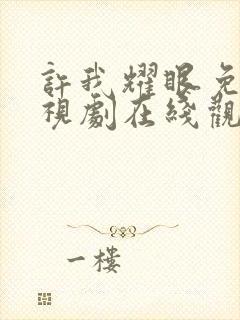 许我耀眼免费电视剧在线观看