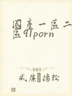 国产一区二区三区91porn