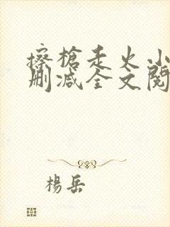 擦枪走火小说无删减全文阅读封面