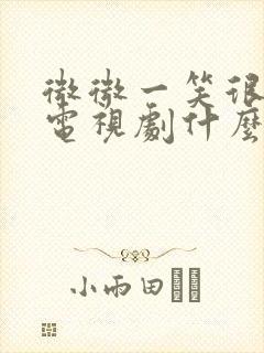 微微一笑很倾城电视剧什么时候播的