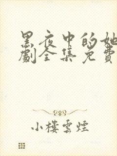 黑夜中的她电视剧全集免费观看