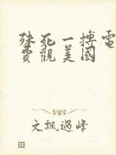 殊死一搏电影免费观美国