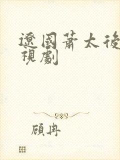 辽国萧太后的电视剧