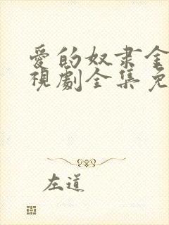 爱的奴隶金瓶电视剧全集免费收看