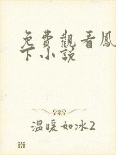 免费观看凤倾天下小说