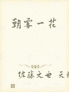 朝雾一花封面