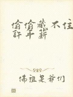 偷偷藏不住段嘉许年薪