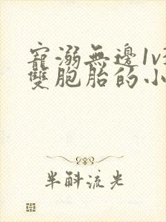 宠溺无边1v3双胞胎的小说