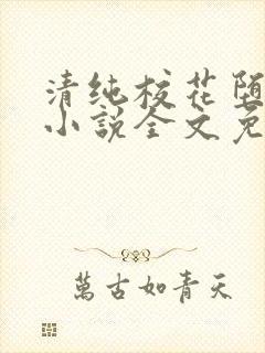 清纯校花堕落记小说全文免费阅读金鑫鑫