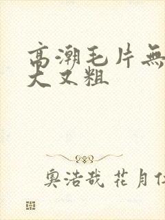 高潮毛片无遮挡大又粗