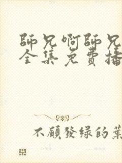 师兄啊师兄观看全集免费播放封面