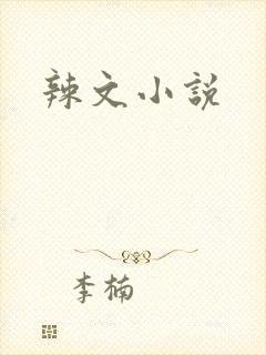 辣文小说