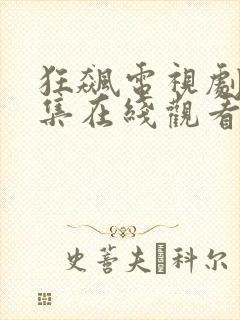 狂飙电视剧40集在线观看免费流畅