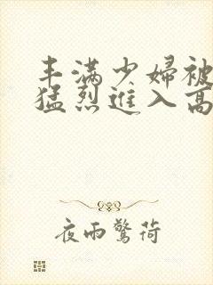 丰满少妇被粗大猛烈进入高清动漫