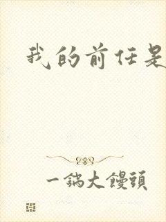 我的前任是极品