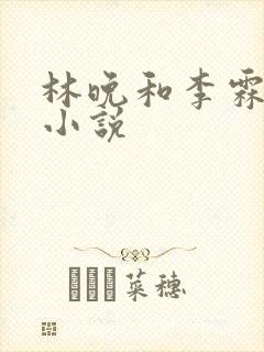 林晚和李霖云的小说