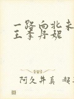 一路向北未删减王李丹妮封面